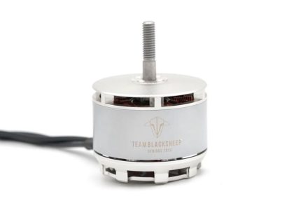 TBS 4219 485KV Motor