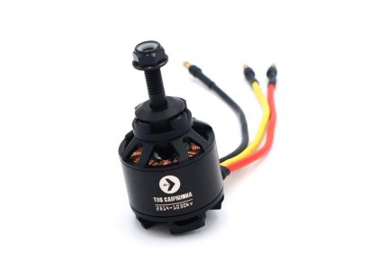 TBS Caipirinha 2 Motor